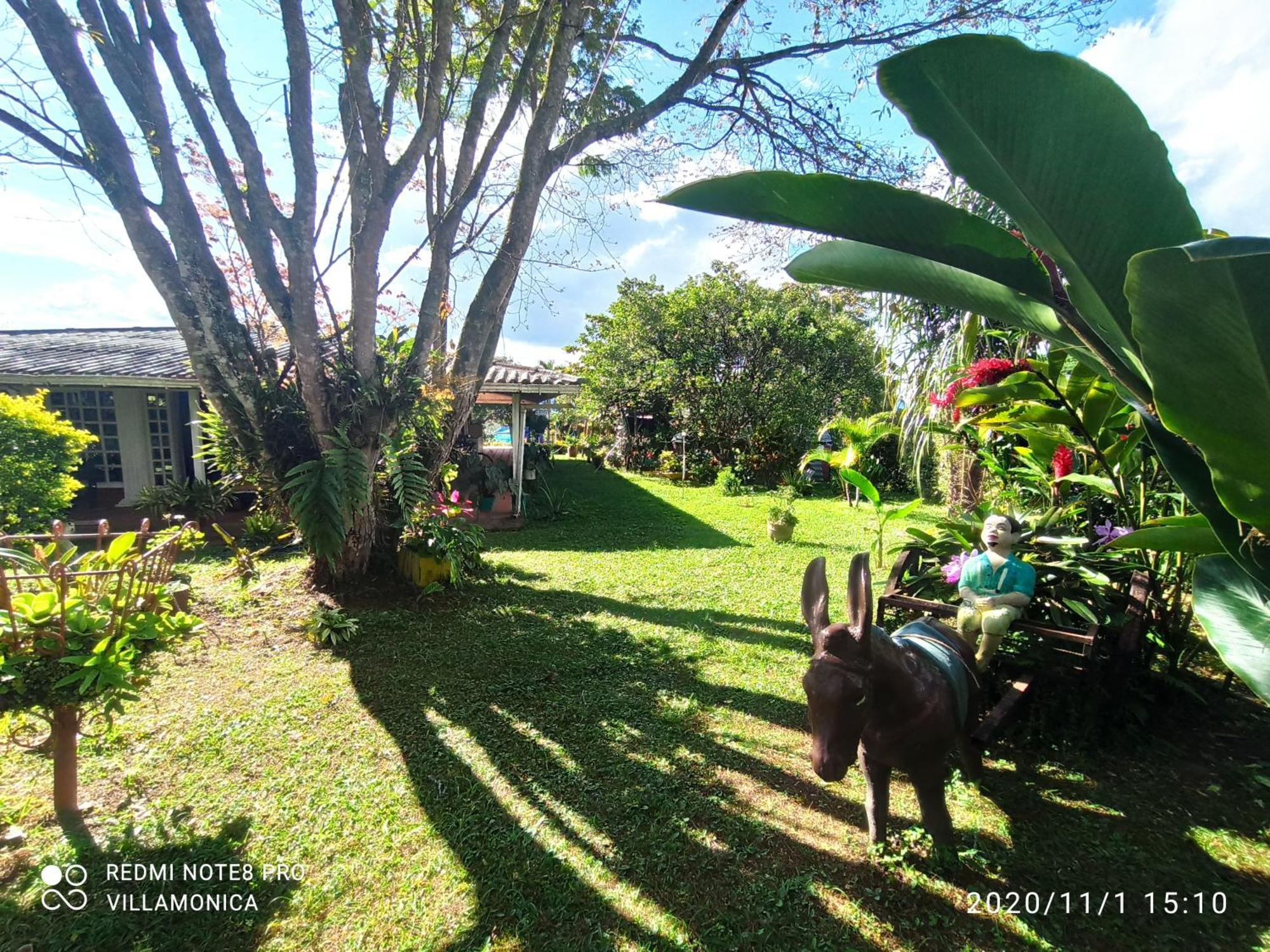 Villa Monica Montenegro Ngoại thất bức ảnh