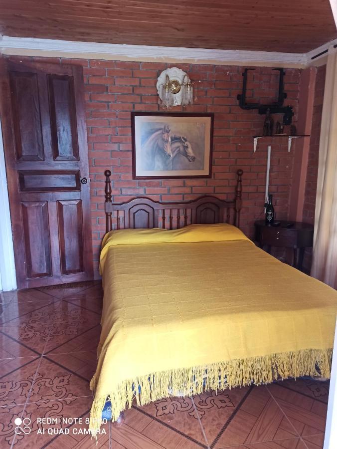 Villa Monica Montenegro Ngoại thất bức ảnh