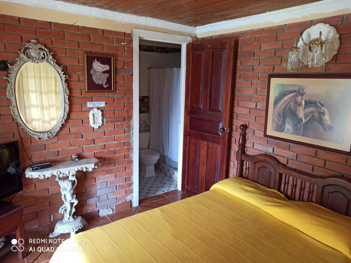 Villa Monica Montenegro Ngoại thất bức ảnh