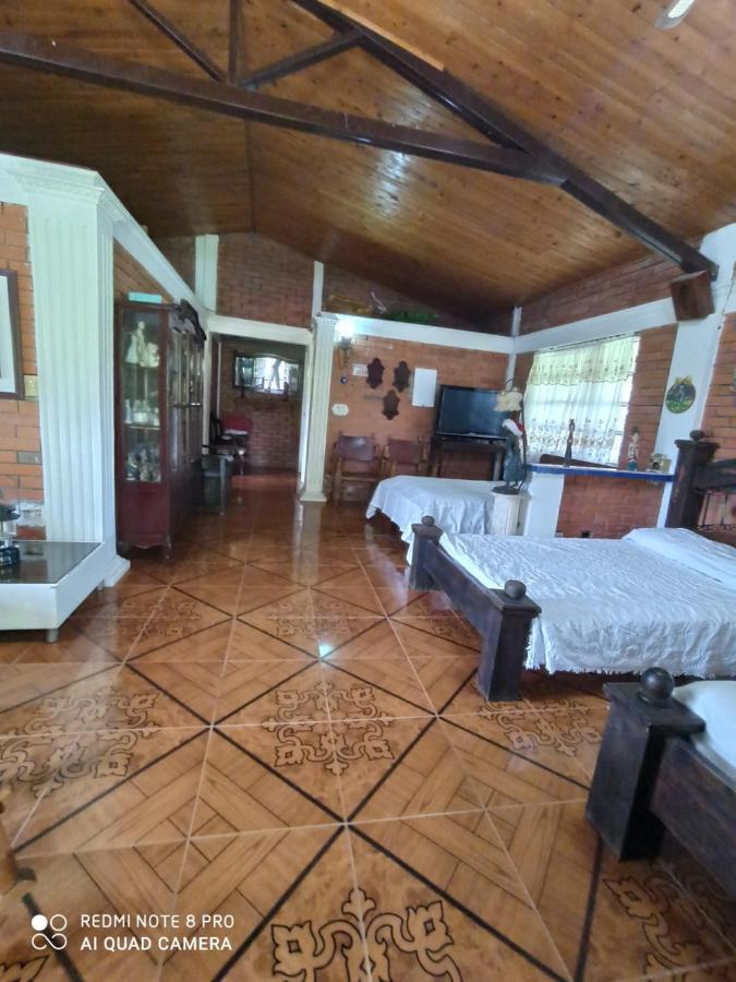 Villa Monica Montenegro Ngoại thất bức ảnh