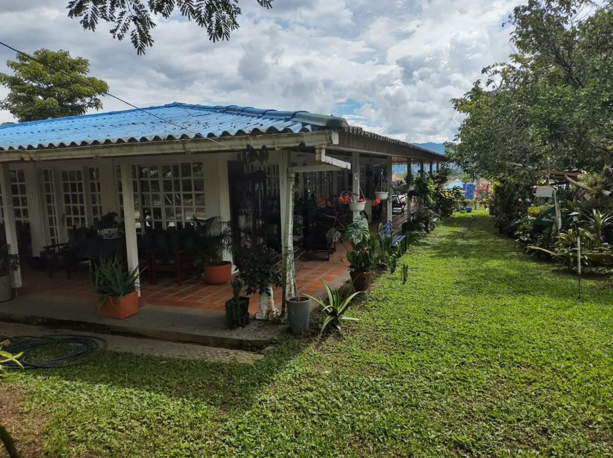 Villa Monica Montenegro Ngoại thất bức ảnh